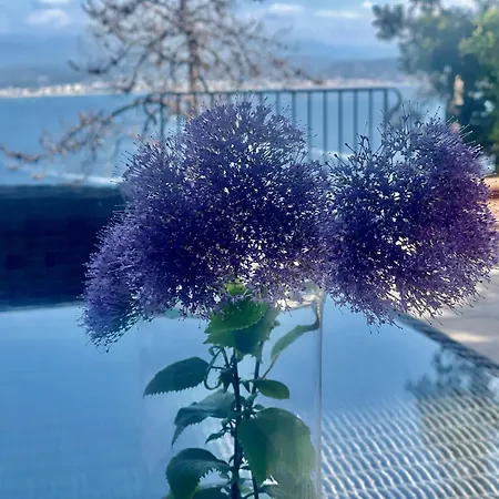 The House, Sur Mer, Cote Dazur, France Βίλα